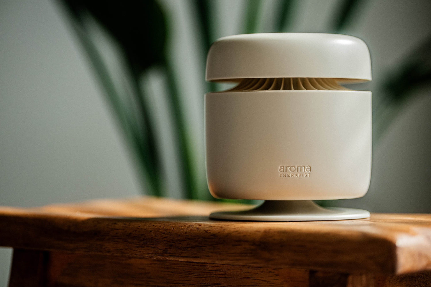 Aroma Amplifier (Beige)