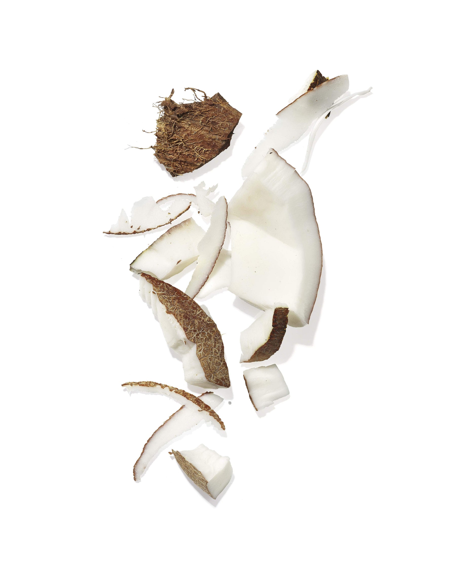 Cconut Oil ingredient